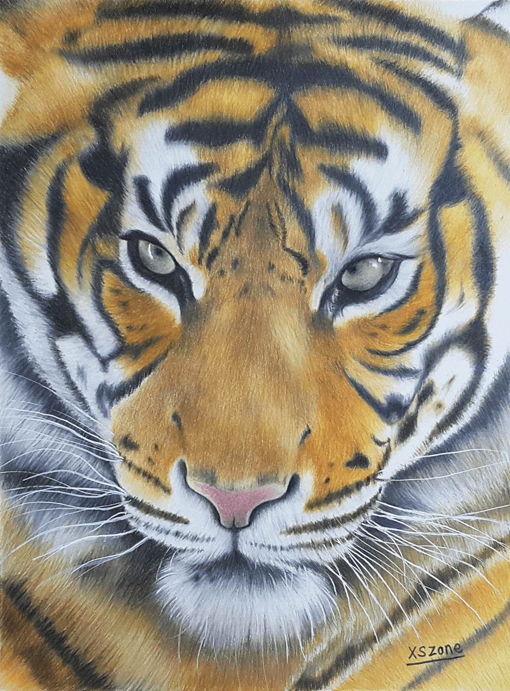 2022 Chinese New Year - Tiger Year Colour Pencil Drawing | Xszone 新手区域 -  Xszone Drawing Collections | OpenSea