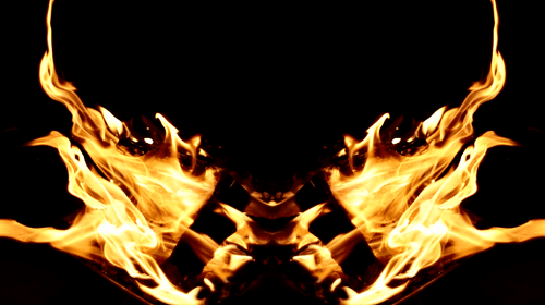 Phoenix #003
