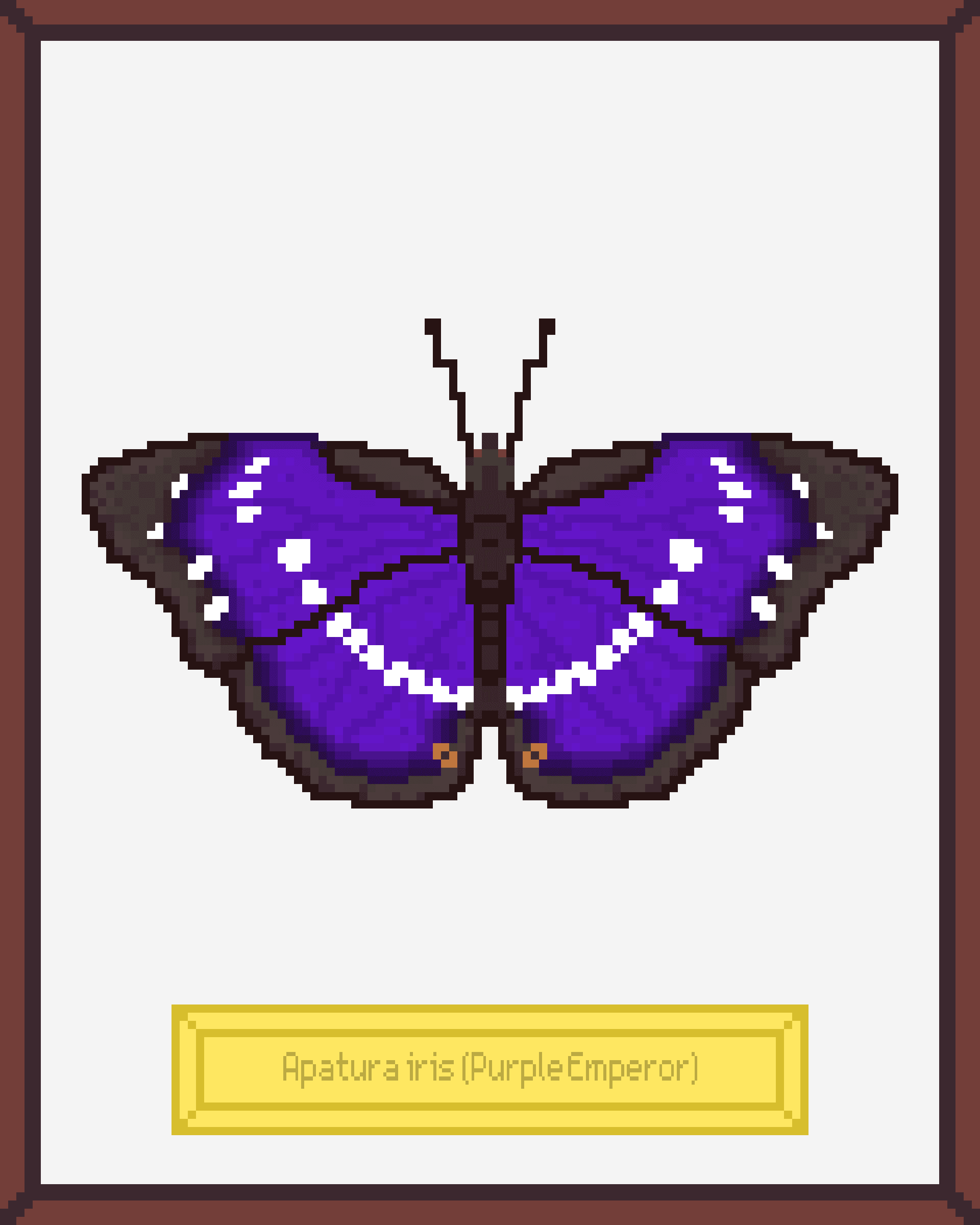 Apatura iris (Purple Emperor)