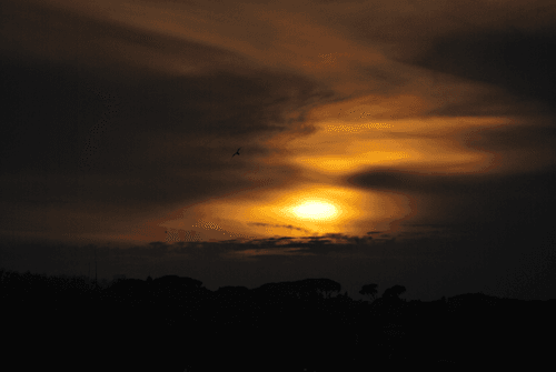 Warmth like Wings