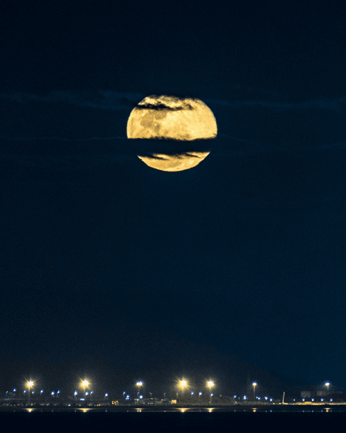 Mumbai Moons #40