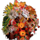 Big Dreams Bouquet Collection - old