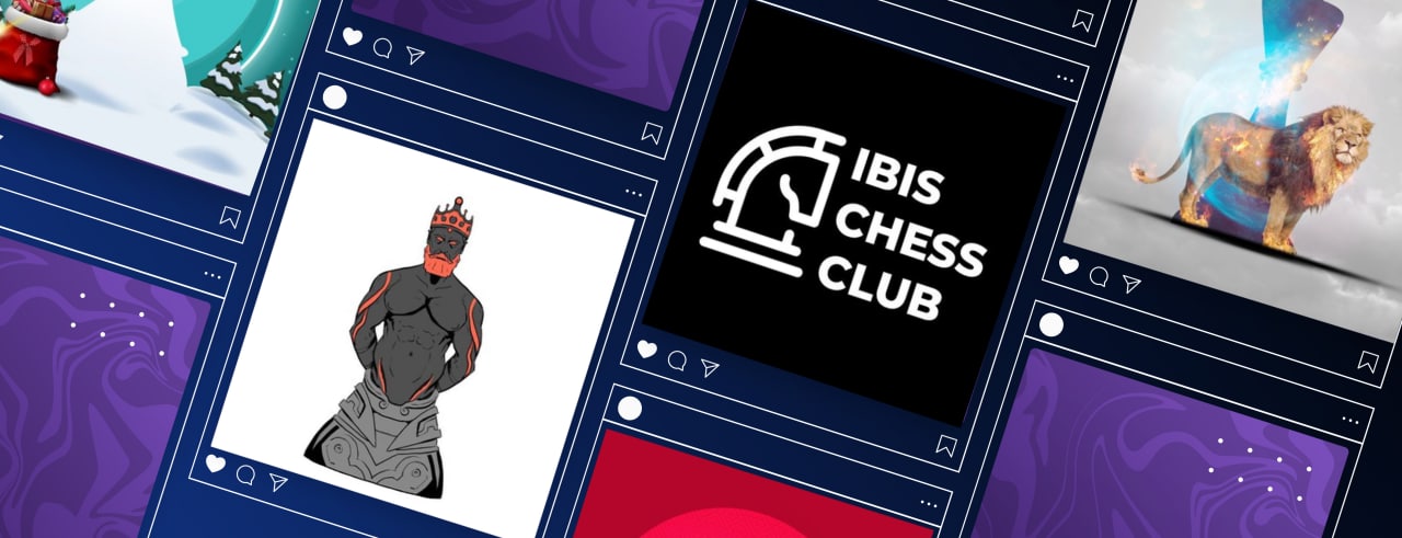 IbisChessClub banner