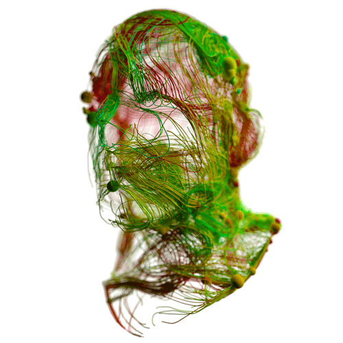 Envisaged_01