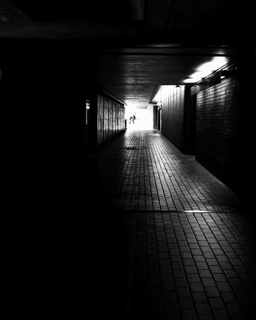 Walk to the light