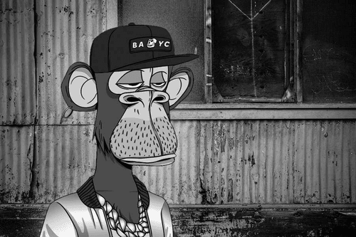 Just Hanging w/ Bored Ape #5429