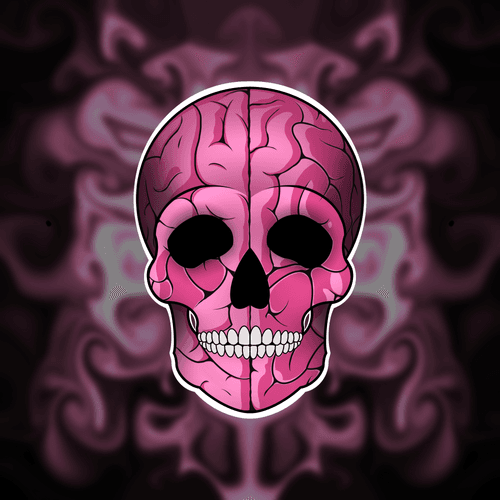Brain Skull
