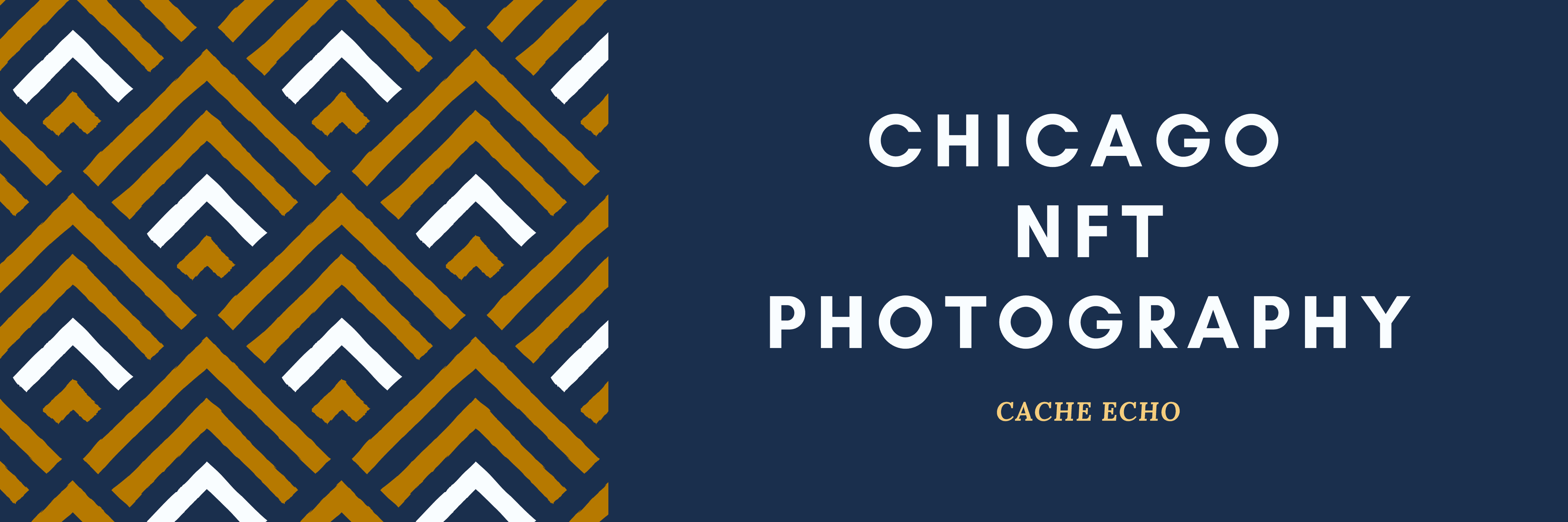 ChicagoNFTPhotography banner