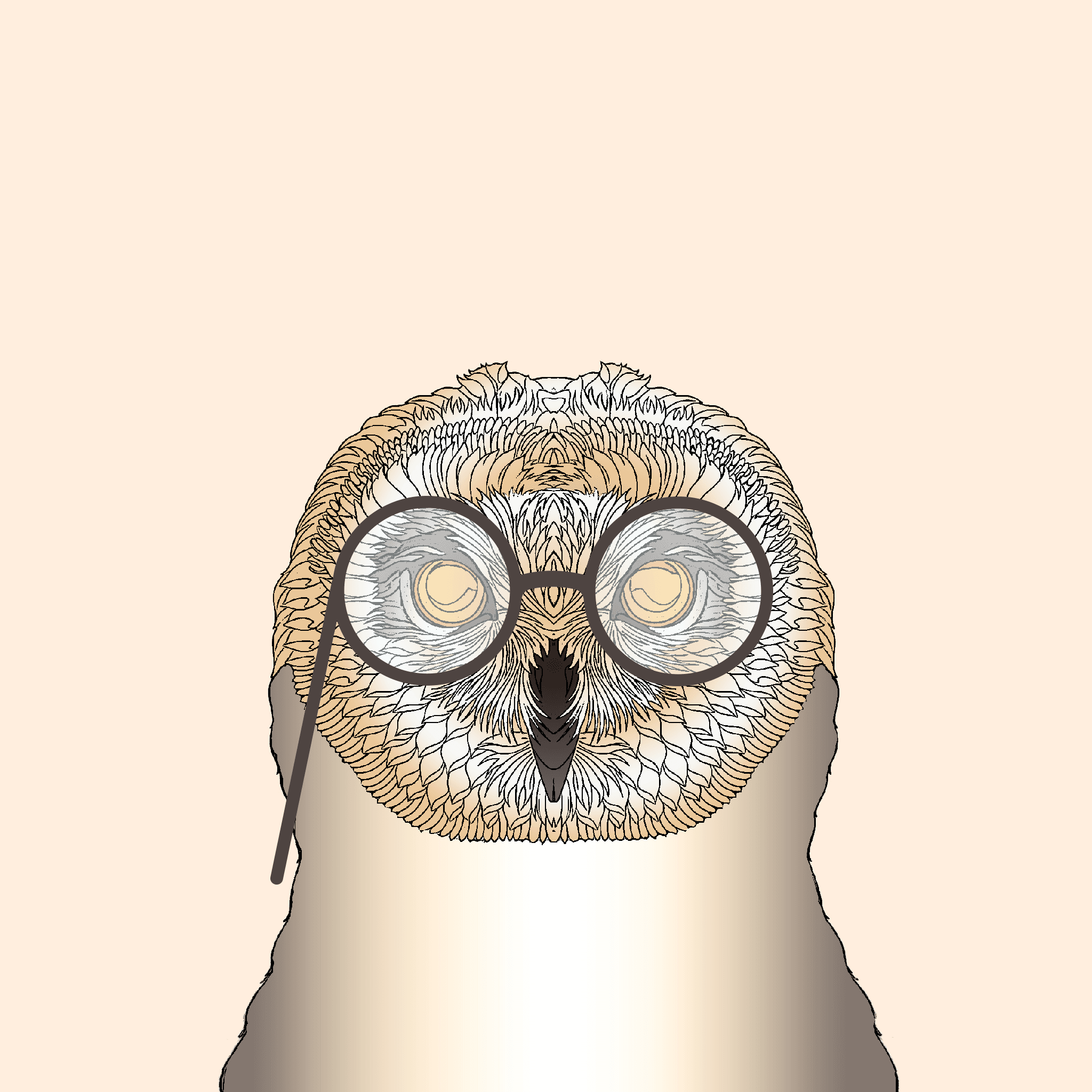 Flat owls with glasses