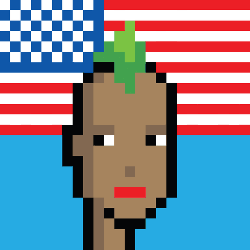 Free USA Punks #222