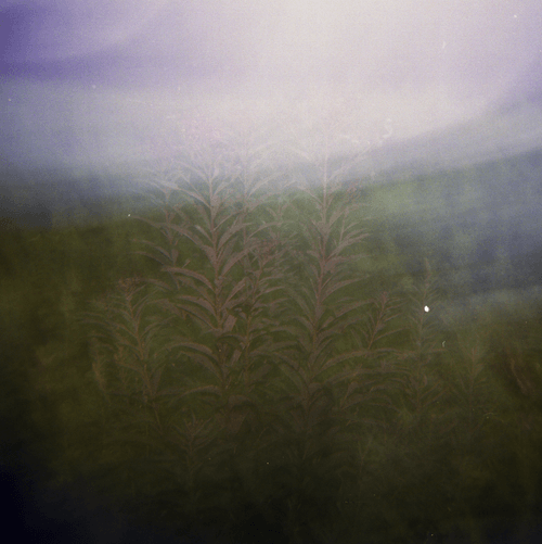 Shot on Holga #14: Blinding Light