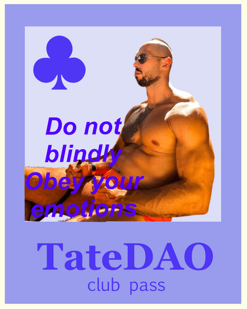 Tate Dao  #43