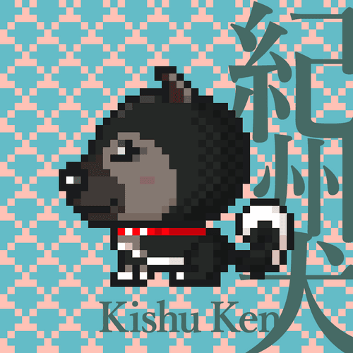 Kishu Ken #016 黒