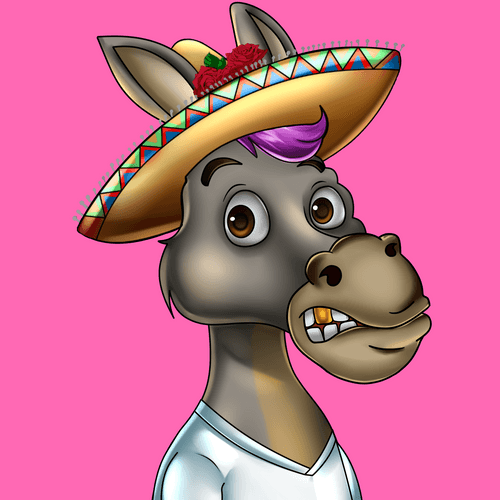 Sombrero Donkey #1817