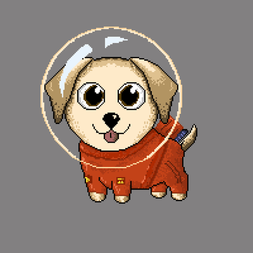 Pogi Daisy #4