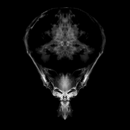 Alien Embryo - 157 of 2000