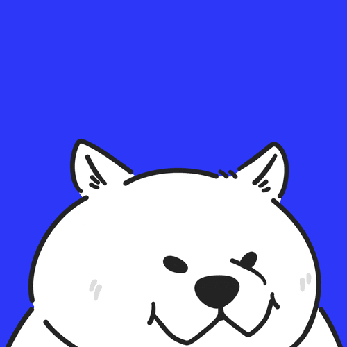Your Chonk Your Choice