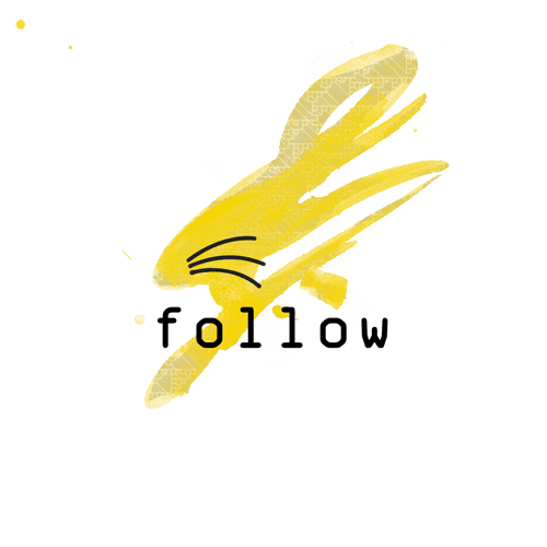 Follow the rabbit labs