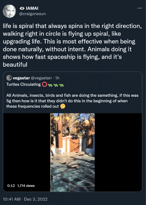 Fly Life Spiral 