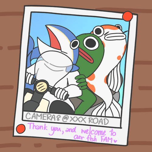 A special gift - The great memory of Fish Friends