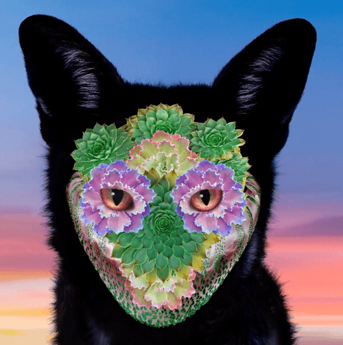 Mare Vulpes Open Edition by Galantis x Mat Maitland