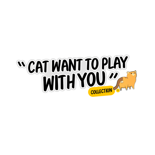 Cat want to play with you