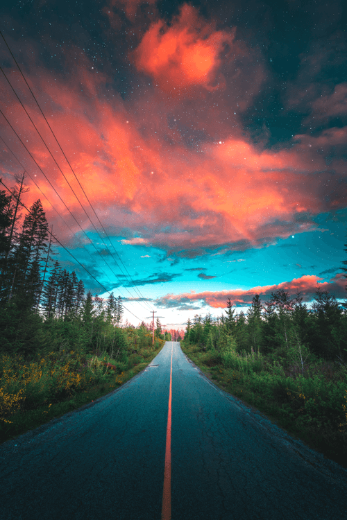 #17 - Vancouver Island, BC, Canada