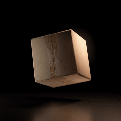 Mysterious Cardboard Box #108