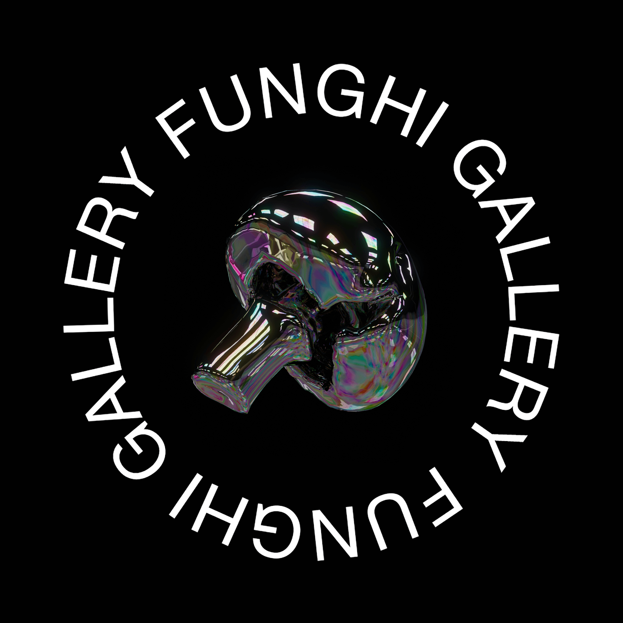 Funghi-gallery