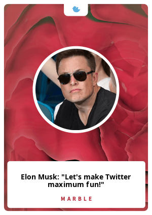 Elon Musk: "Let's make Twitter maximum fun!"