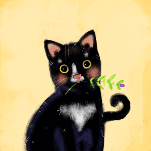 #9 Markus