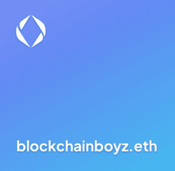 blockchainboyz x zts collection image