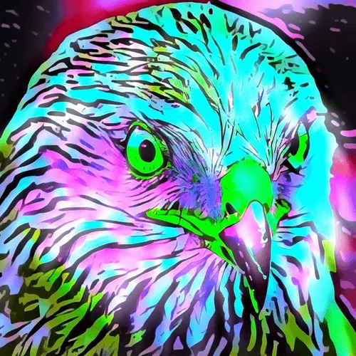 Breeds #259 (Hawk)