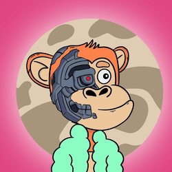 Modish Monkeys collection image