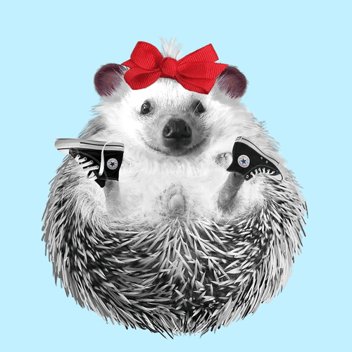 Hedgehog #189
