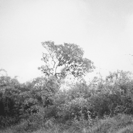 Pululahua | Cloud of Water