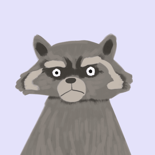 raccoon