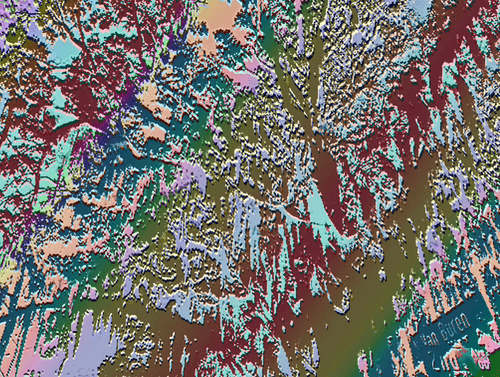 Life in Color Savanna Series