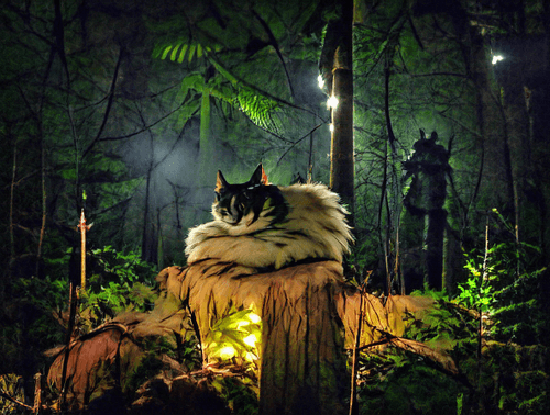 Forest Spirit