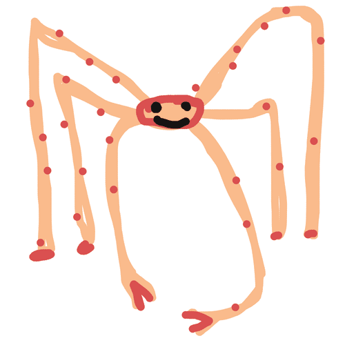 Japanese Spider Crab