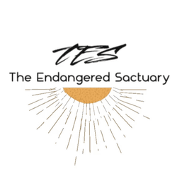 The Endangered Sanctuary collection image