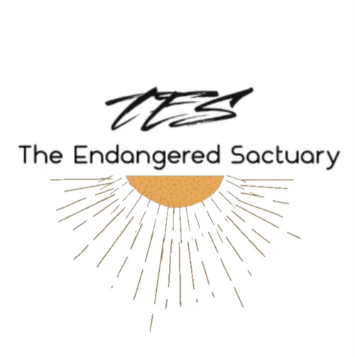 The Endangered Sanctuary