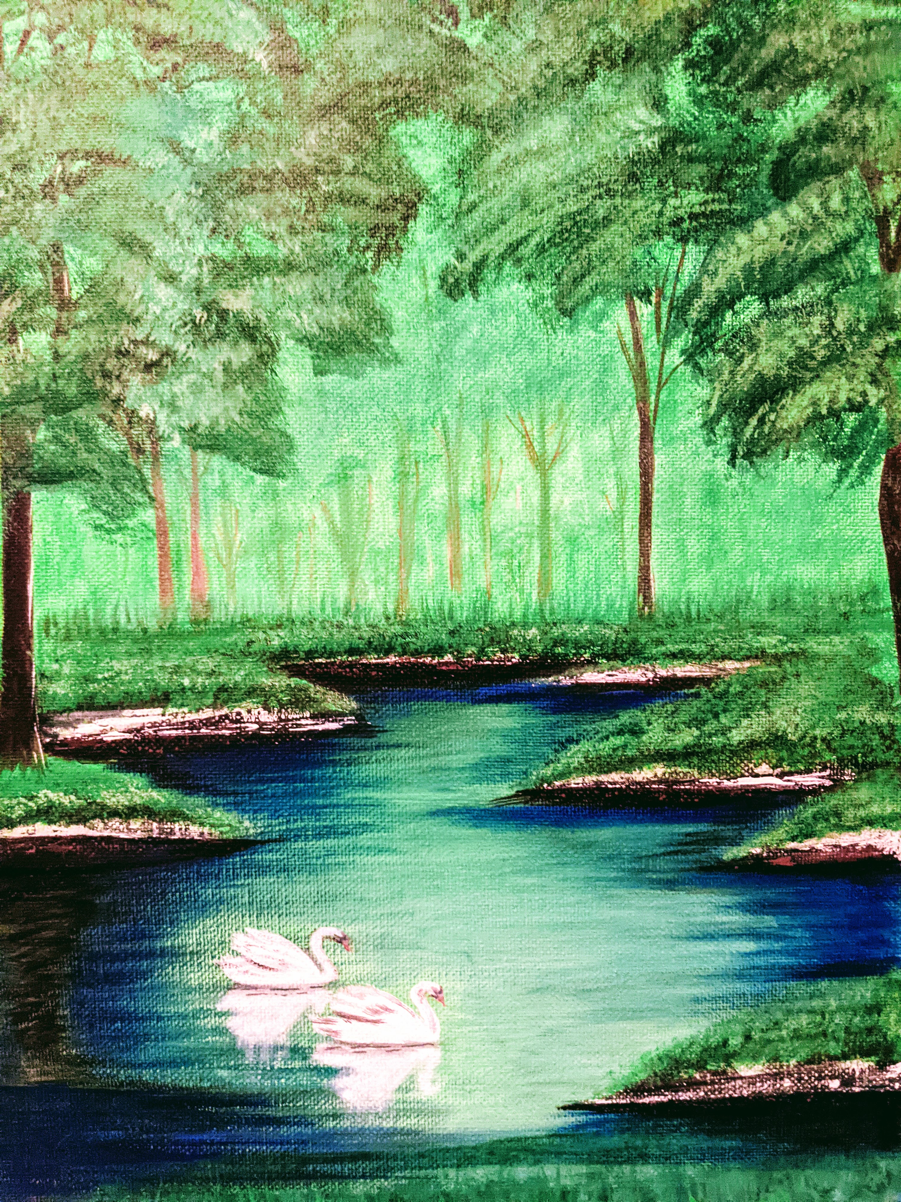 Swans Pond -  14 x 11 Acrylic on Canvas