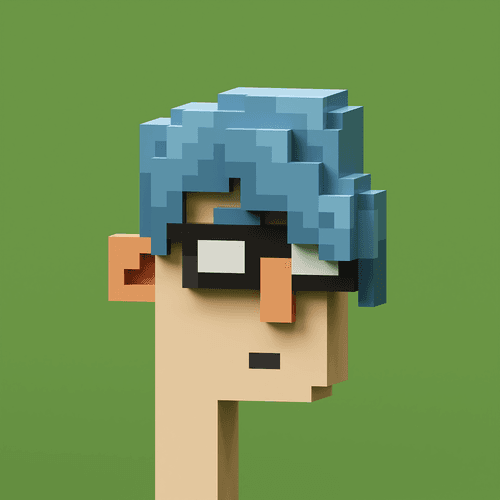 CryptoVoxelPunks
