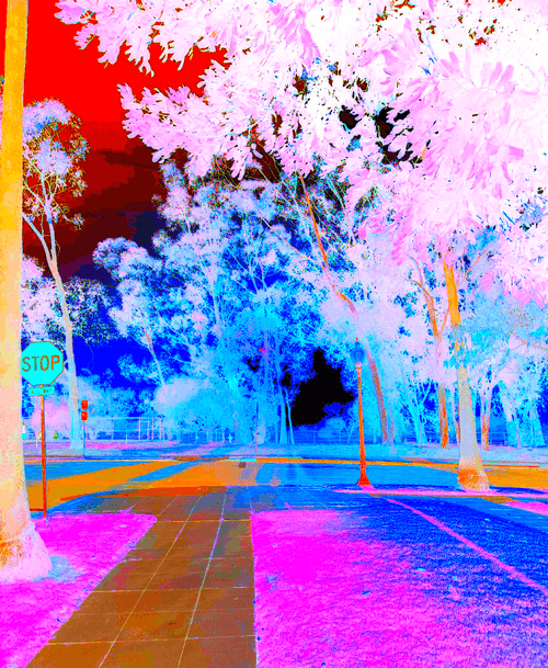 thesestreets