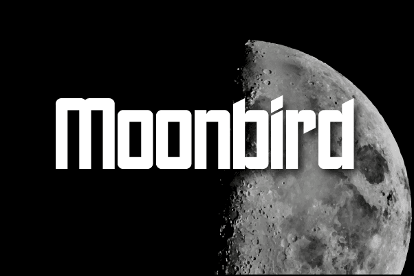 Moonbird NFT