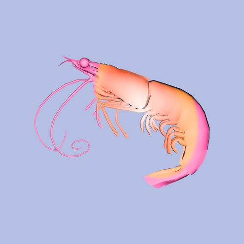 Robin (robind) Farcaster social identity (Fname handle) PFP