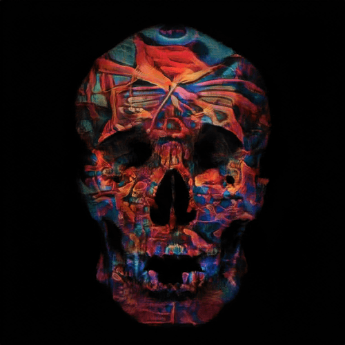 Crypto Painted Skulls