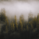 testtesttesttesttesttesttesttest - old