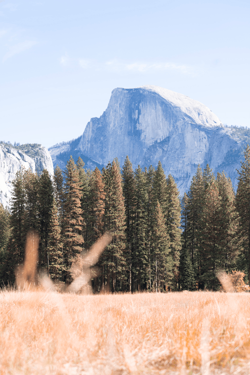 23 in Yosemite